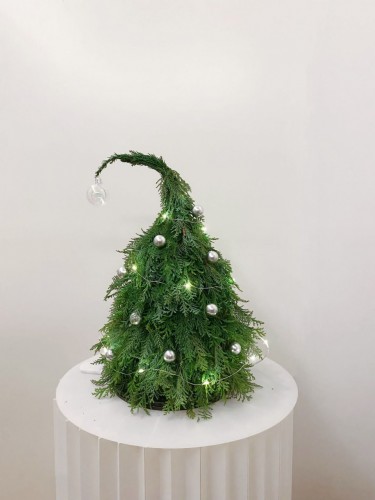 PHOTO-2023-01-08-01-46-52