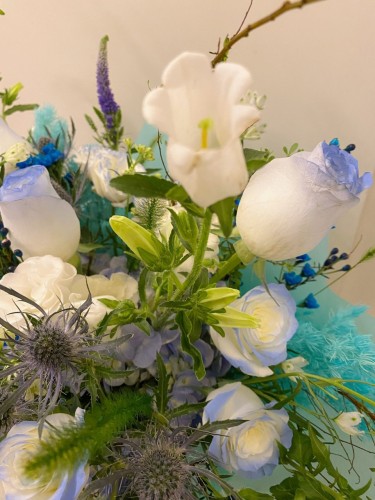 PHOTO-2023-01-08-00-08-09