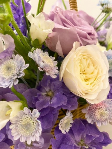 PHOTO-2023-01-08-01-10-35