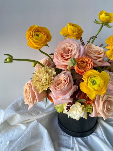 PHOTO-2023-01-08-01-05-29