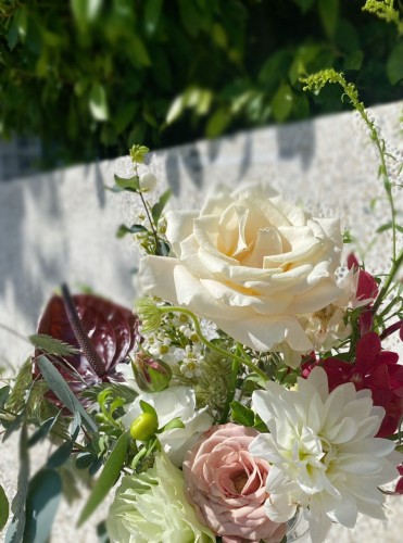 PHOTO-2023-01-08-01-00-34