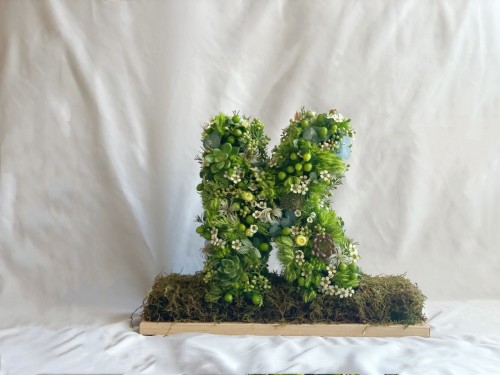 PHOTO-2023-01-08-01-33-38