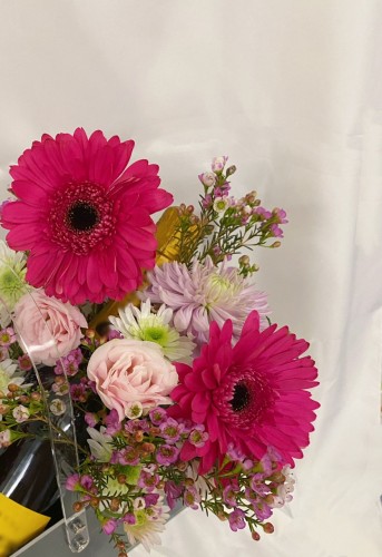 PHOTO-2023-01-09-00-35-15